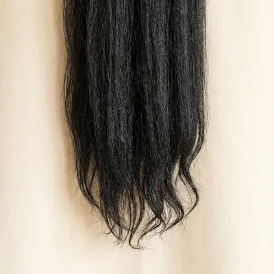 Close-up of 1C hair